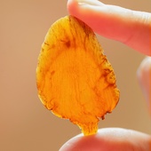 许氏醇品 手切红参片干人参片茶泡水煲汤泡酒