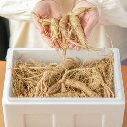 许氏醇品鲜西洋参2斤装 林下参7根装泡酒泡茶煲汤送礼东北鲜人参