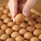 许氏醇品 水谷丸传统手工蜜丸膳食淮山药山楂茯苓陈皮甘草