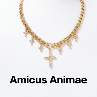 Amicus Animae欧美时尚高级感镶钻十字架吊坠项链轻奢百搭锁骨链