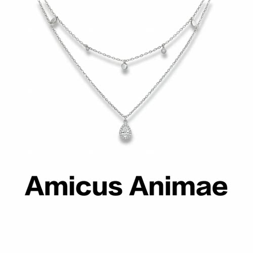 AmicusAnimae满钻水滴锁骨链