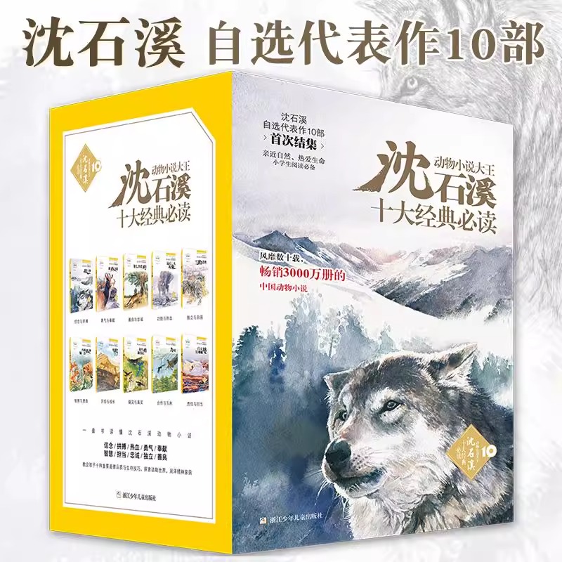 沈石溪十大经典必读 全套10册 动物小说大王沈石溪儿童文学代表作 狼王梦斑羚飞渡后一头战象等