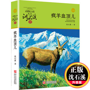 疯羊血顶儿(升级版)/动物小说大王沈石溪品藏书系 青少年课外启发读物 9-10-11-12岁小学三四五六年级儿童文学童话故事书籍