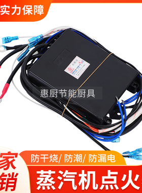 商用蒸汽机锅炉配件大全24V电磁阀脉冲点火器 万友点火控制器开关