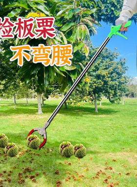 捡板栗神器捡栗子夹子工具拾山核桃坚果剥栗子手套不弯腰加长钳子