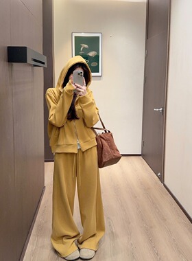 PPHOME连帽卫衣套装秋冬新款韩版时尚显瘦加绒加厚休闲套装
