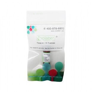 Coolaber/酷来搏 CV11852-250mg 奎诺二甲基丙烯酸酯/Trolox