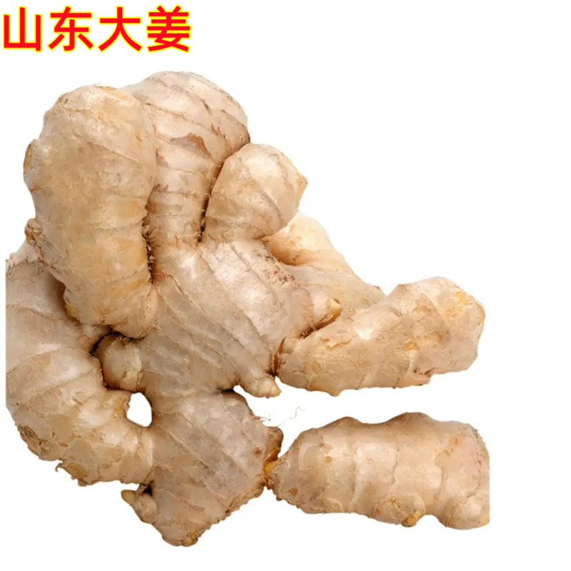 生姜新鲜现挖山东十斤母五包邮沙