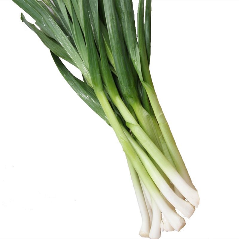 蒜苗大蒜苗红白根 新鲜蔬菜农家种植4斤包邮 大蒜叶山东金乡青蒜