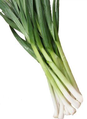 蒜苗新鲜蔬菜包邮山东金乡