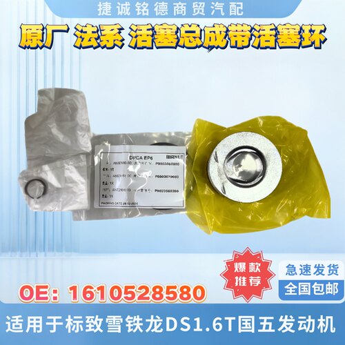 标致雪铁龙DS活塞总成