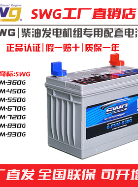 SWG柴油发电机组蓄电池电瓶专用12V6FNM930G830G720G550G450G360G