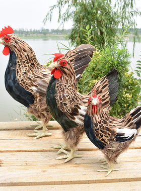 仿真羽毛孵蛋鸡母鸡家禽影视拍摄