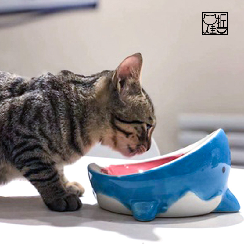 鲨鱼陶瓷猫碗矮脚大号狗碗宽口斜口保护颈椎防打翻幼猫可爱宠物图片