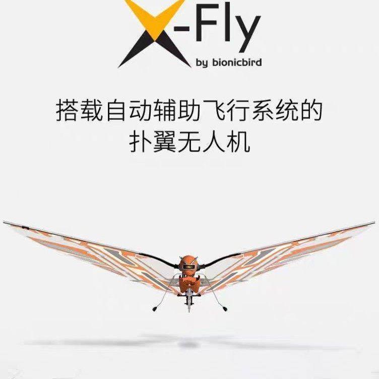 法国MetaFly仿生蜻蜓智能飞行昆虫科幻沙丘小型遥控扑翼无人飞机