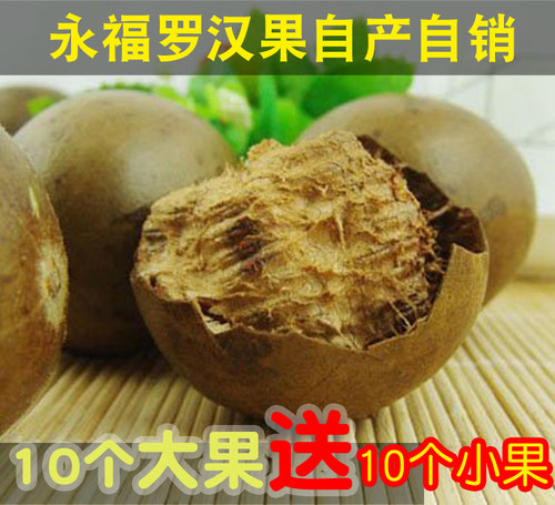 广西桂林特产10个野生永福罗汉果