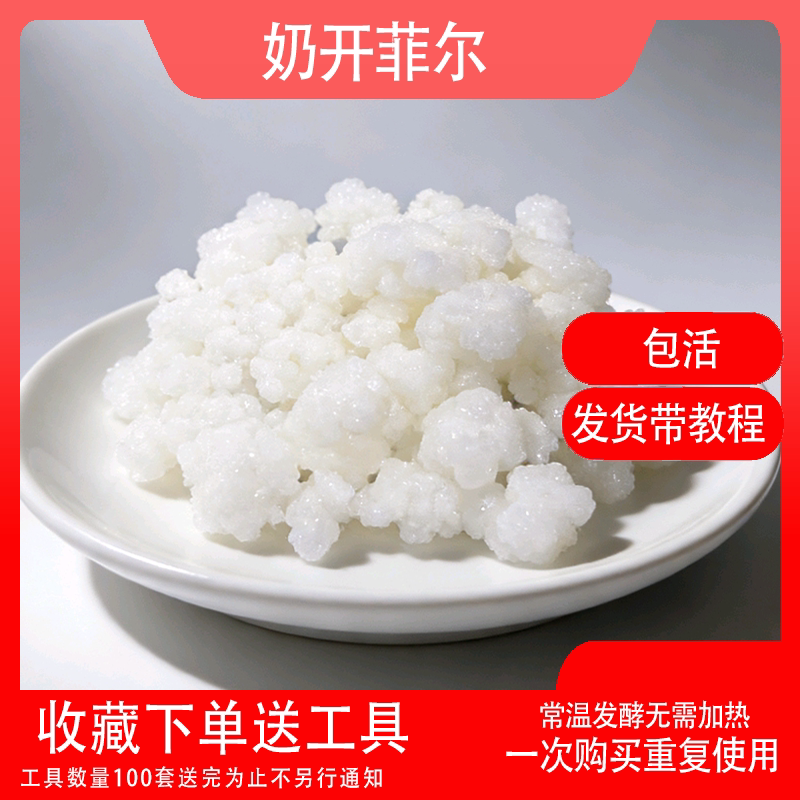 奶开菲尔菌种常温发酵