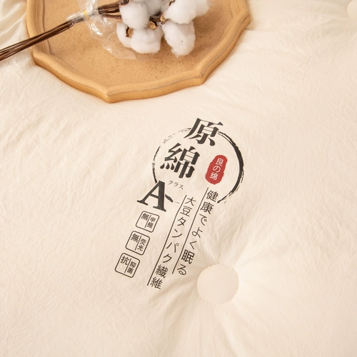 Соевое волокно стеганое одеяло Весна и осень были утолщены, а кондиционер зимнего одеяла был универсальным в четырех сезонах четырех сезонов одного и двойного сезона