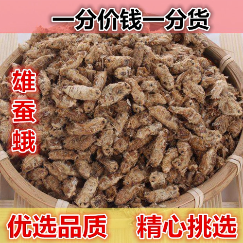 中药材正品浙蚕蛾 雄蚕蛾 500克公蚕蛾晚蚕蛾 魏蚕蛾天蛾新货包邮