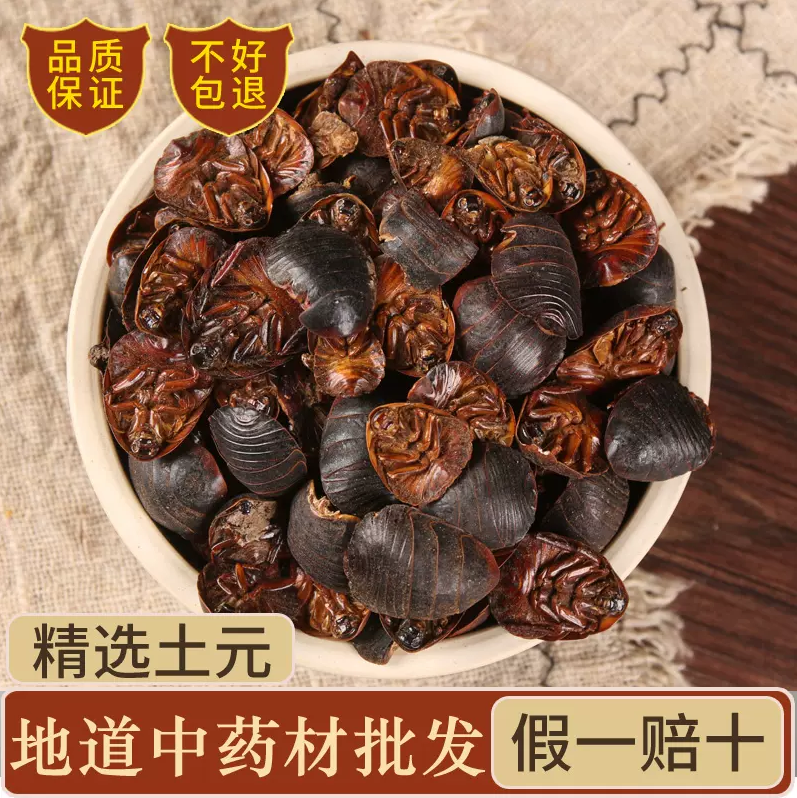 中药材 大土元养殖土鳖虫 正品地鳖虫 蛰虫 新鲜干货500g土元粉