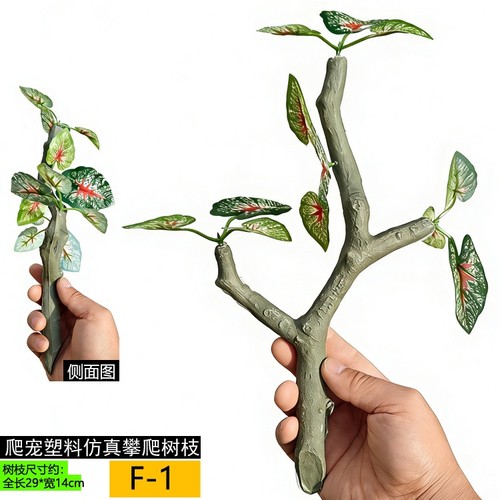 爬宠箱树藤造景藤蔓装饰