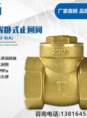 秀辉ZH002-B卧式止回阀单向阀水阀中体ZH002-A大体水泵止回阀