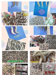 观赏鱼冷冻鱼食,饲料,大中型鱼饵虾段,河虾,泥鳅,虾仁林蛙