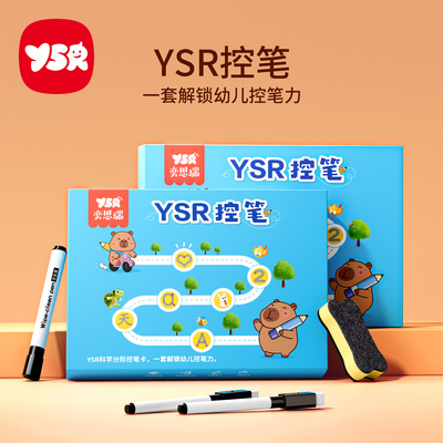 YSR奕思瑞控笔训练幼儿园儿童练习宝宝专注力卡早教启蒙益智玩具