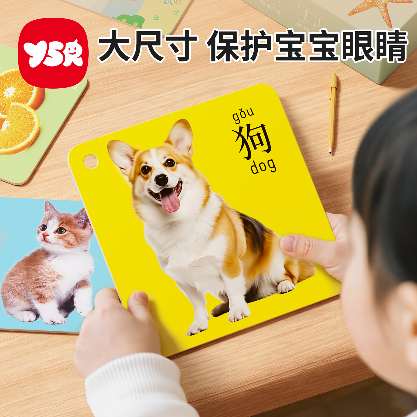 动物认知卡片早教大尺寸护眼
