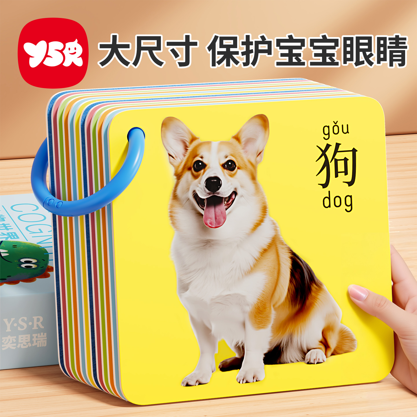 动物认知卡片早教大尺寸护眼