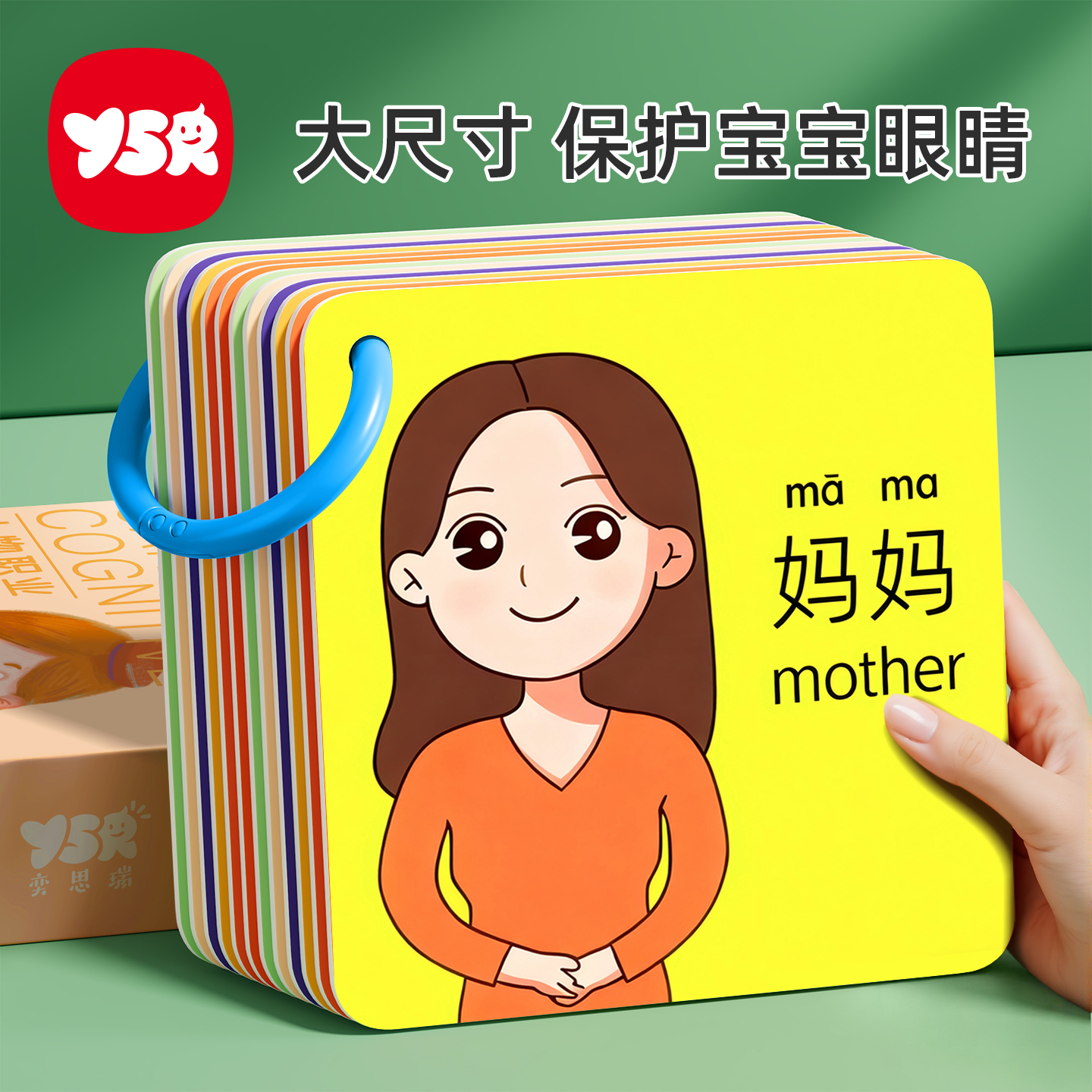 人物认知卡片早教大尺寸护眼