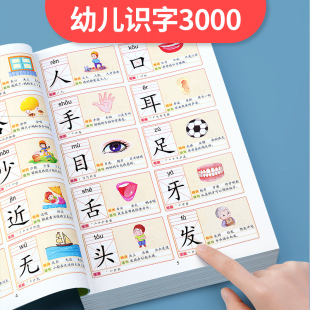 认字有声儿童识字3000卡片点读机早教发声书神器幼儿园益智玩具