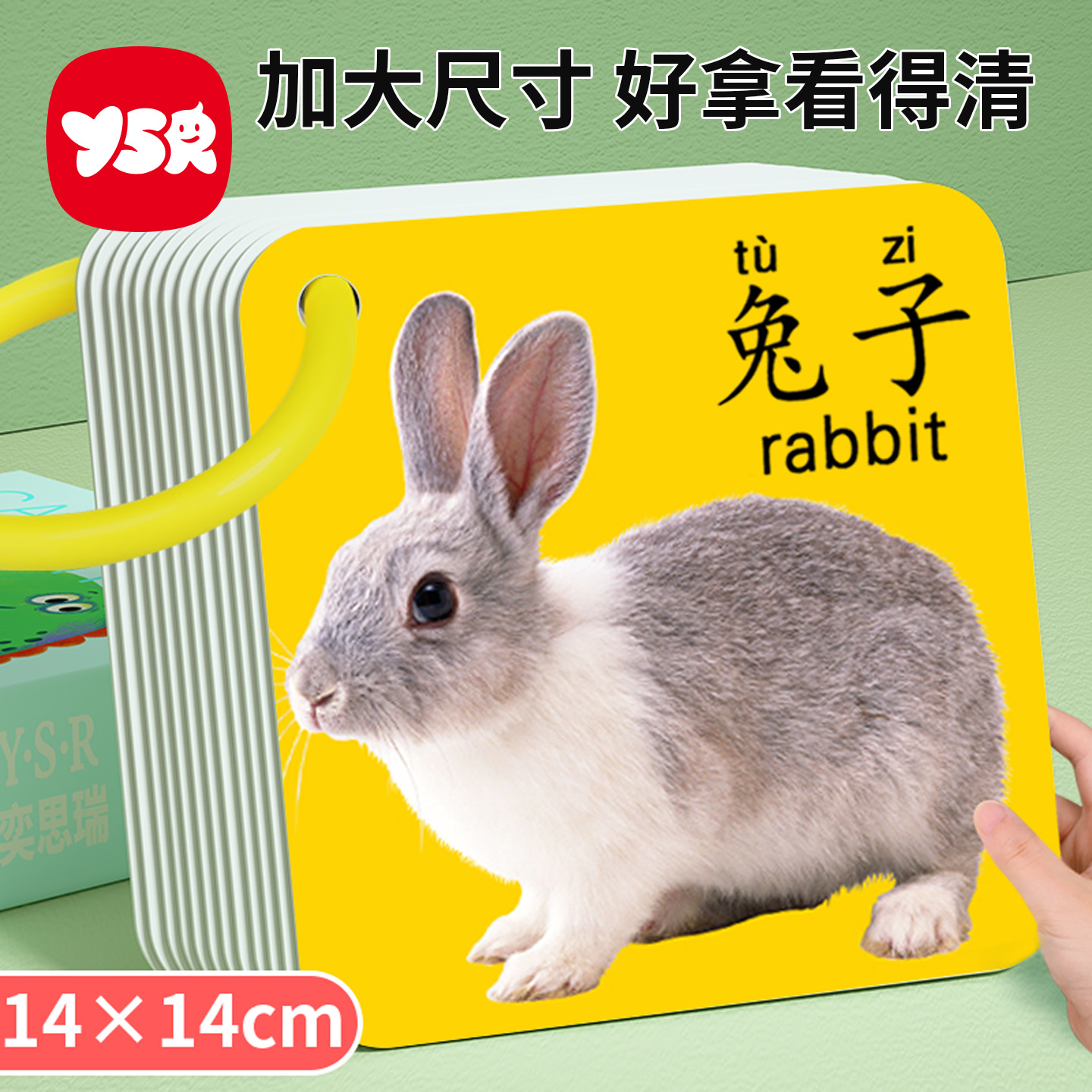 看图识物动物卡片早教认知