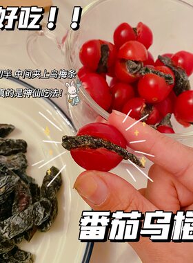 DIY番茄乌梅干无核热销明星推荐