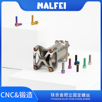 钛合金把立固定螺丝MALFEI