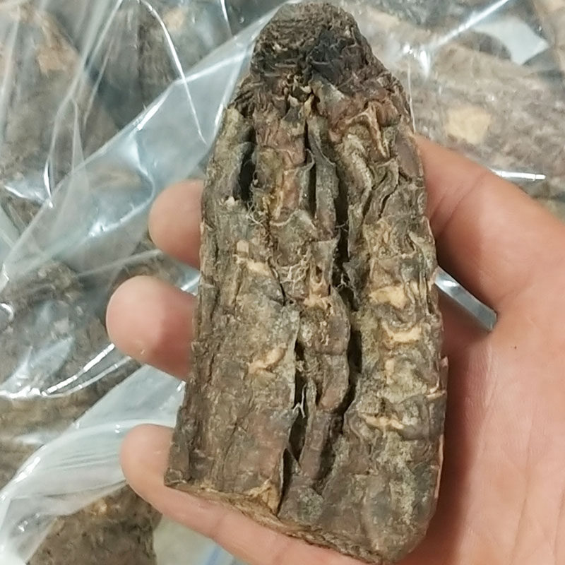 肉苁蓉可搭配淫羊藿锁阳中药材疆芸寸芸整根泡茶泡酒100g