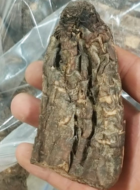 锁阳淫羊藿中药材泡茶泡酒肉苁蓉