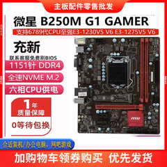 一年换新 微星B250M 华硕 B365 1151针DDR4支持6789代V5V6 E2124G