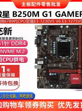 一年换新 微星B250M 华硕 B365 1151针DDR4支持6789代V5V6 E2124G
