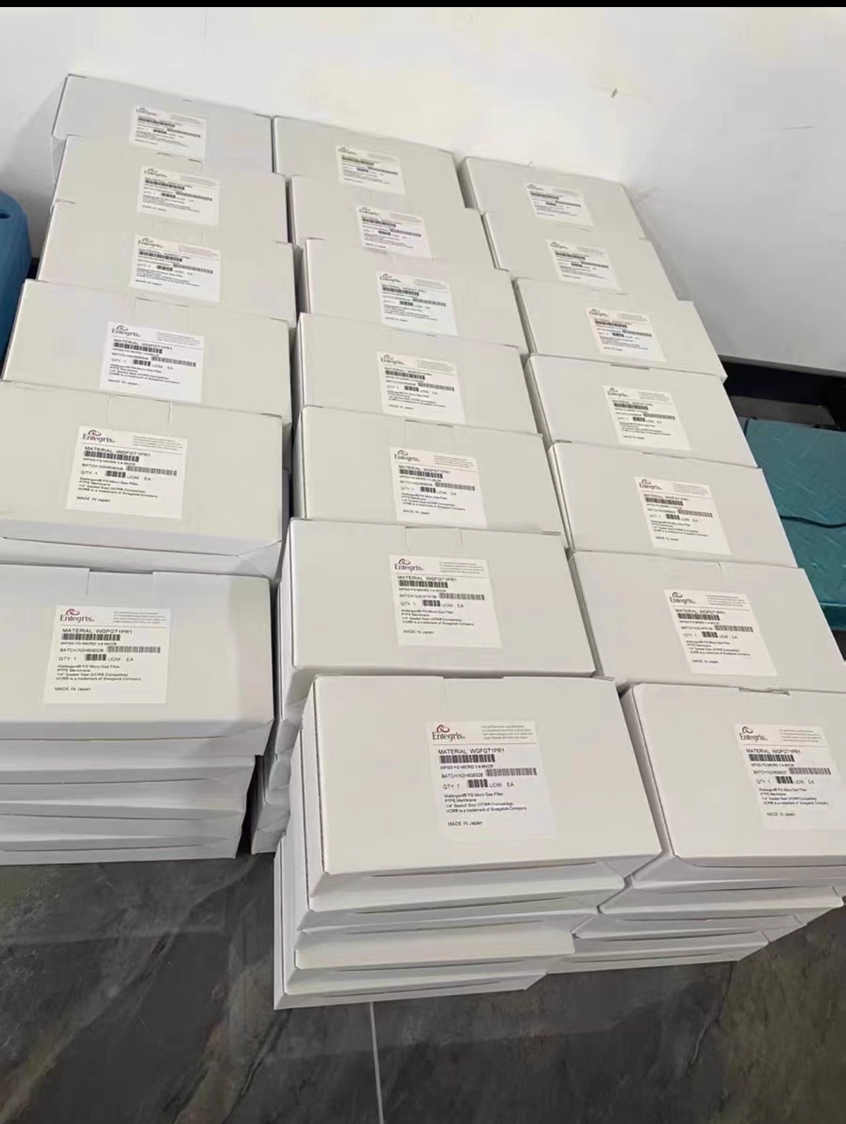 ENTEGRSI CTFG0STPE 气体过滤器