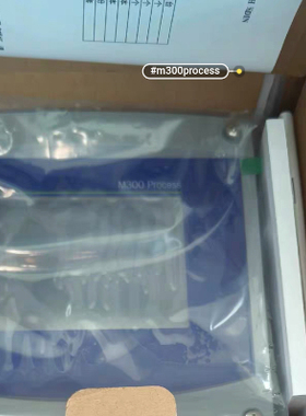 梅特勒 M300 process，梅特勒电导变送器 30280771