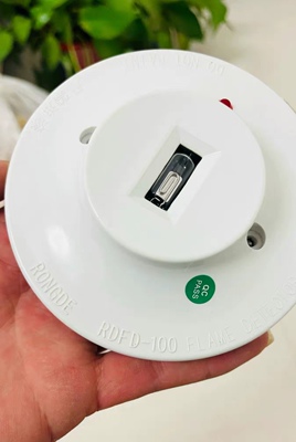 融德 RDFD-100 火焰探测器