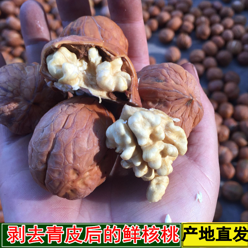 2023年新鲜核桃去青皮即食生鲜孕妇零食坚果核桃手剥休闲薄皮核桃