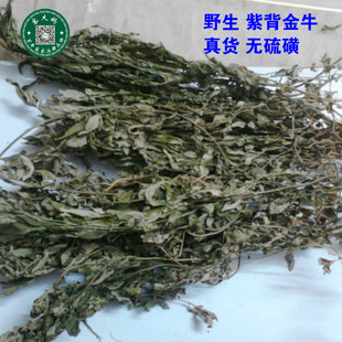无硫 野生 紫背金牛 大金不换 金牛草 500g 干净 新货 包邮