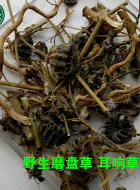 野生 磨盘草 磨笼草 金花草 磨挡草 耳响草 帽笼子500g 拍2件包邮