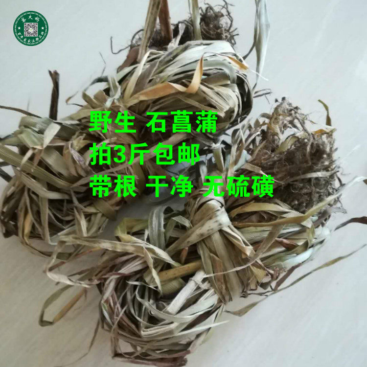 月子洗澡洗头野生香菖蒲石菖蒲山菖蒲石蜈蚣水剑草500克拍3斤包邮