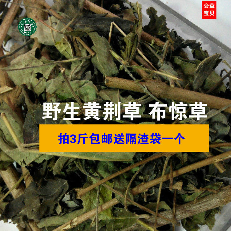 客家不惊草 野生布惊草 黄荆草 牡荆树 黄荆枝叶 500g拍3斤包邮