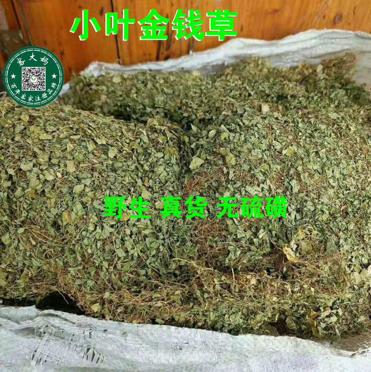 真货马蹄金 鱼脐草小叶金钱草 细叶金钱草 落地金钱 500g包邮