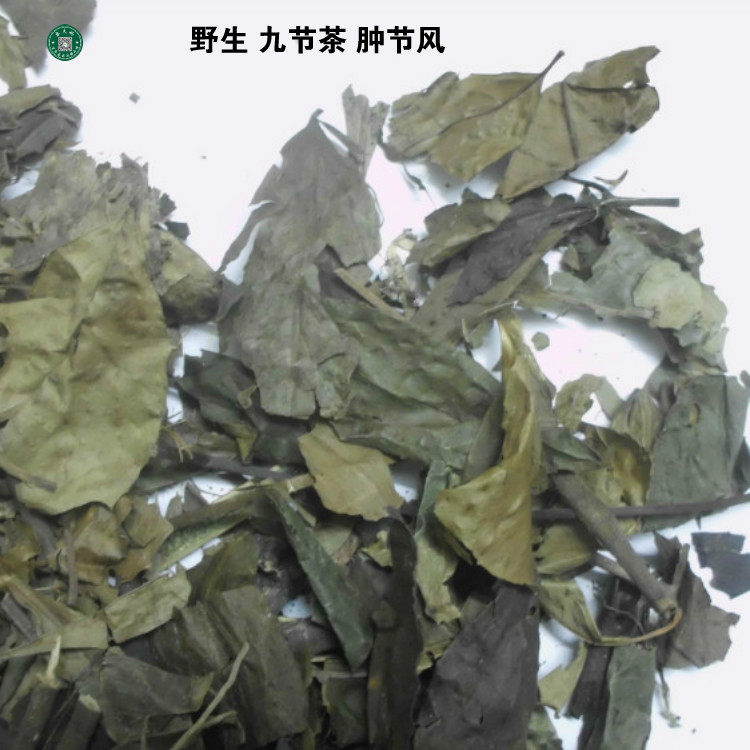 草珊瑚野生肿节风