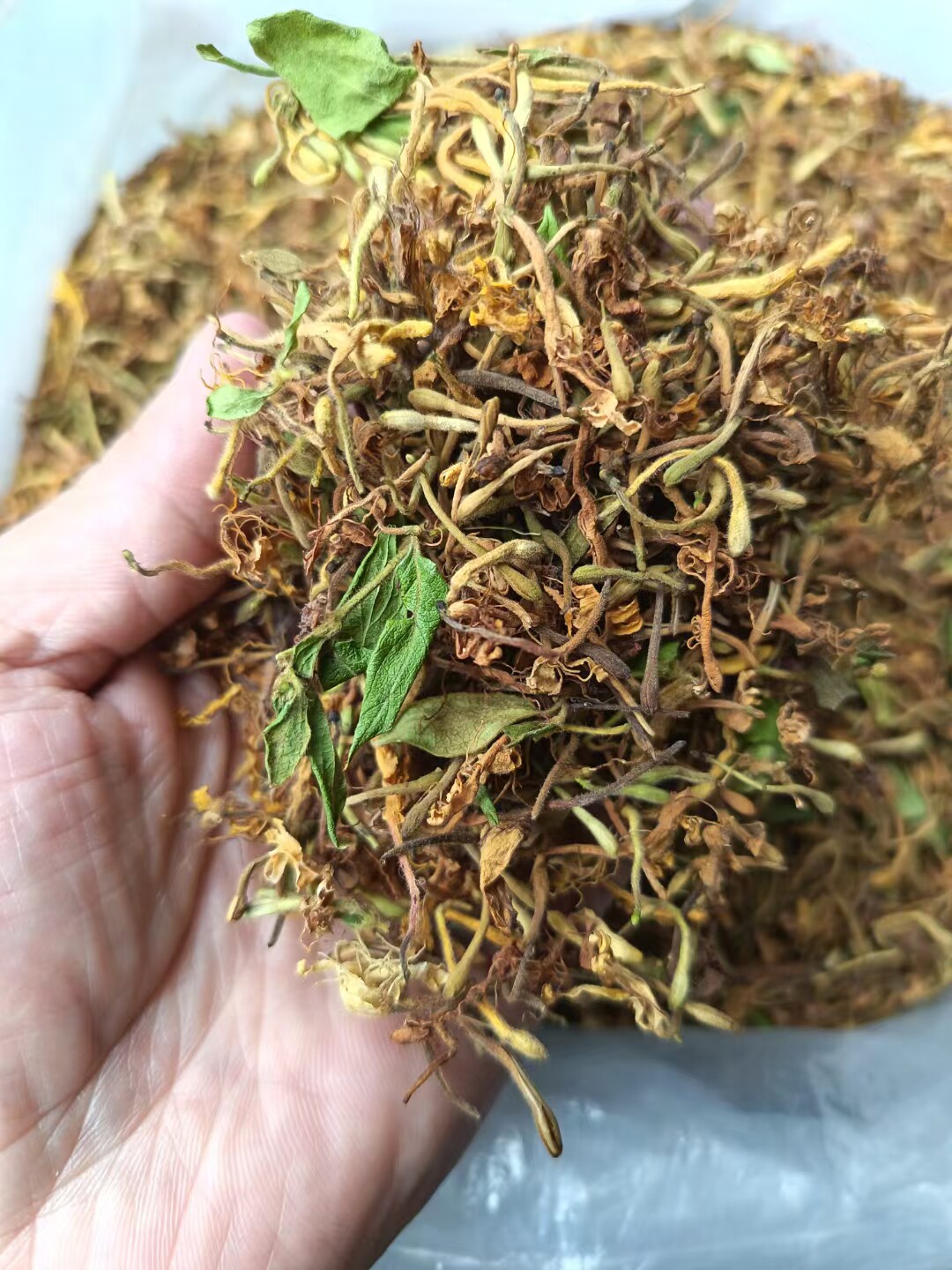 野生金银花 广东凉茶金银花茶 新货无硫磺 银花茶 宝宝泡澡 包邮